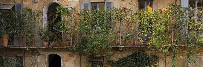 maría 🇲🇽 banner