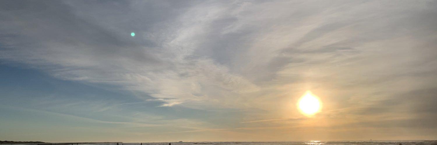 SusanBernardin's profile banner image