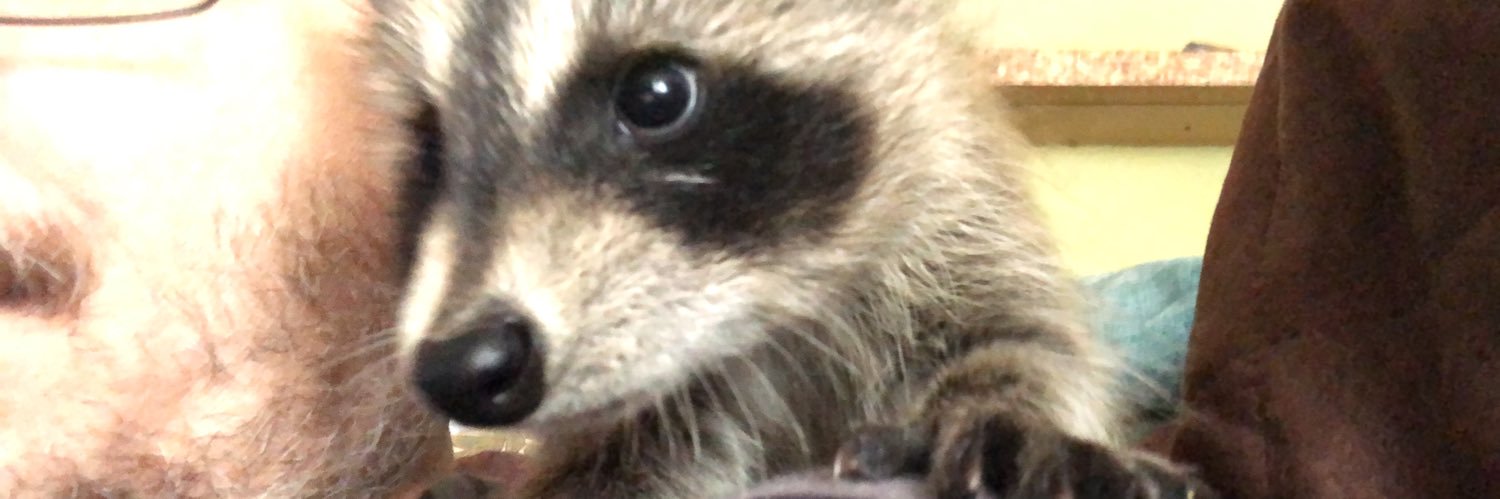 Echopeus's profile banner image