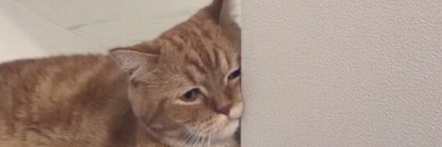 𝙰𝚂• banner