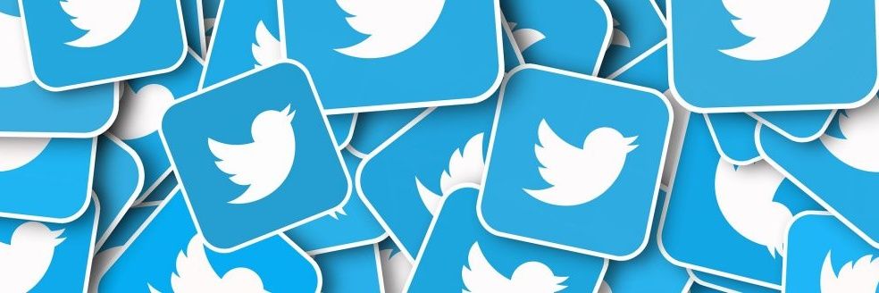 Terry Day 🏴‍☠️🇬🇧🏴󠁧󠁢󠁥󠁮󠁧󠁿🇪🇺 banner