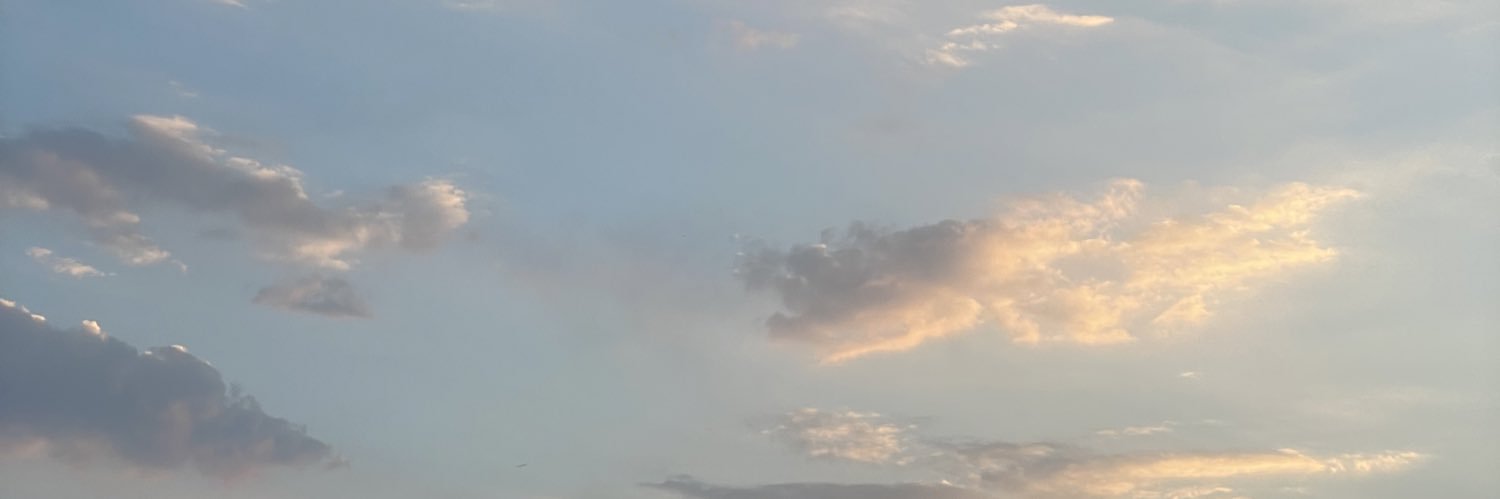 Zari_BR's profile banner image