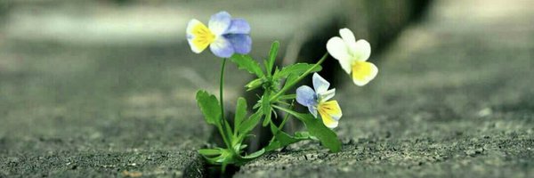 saud_xax Profile Banner