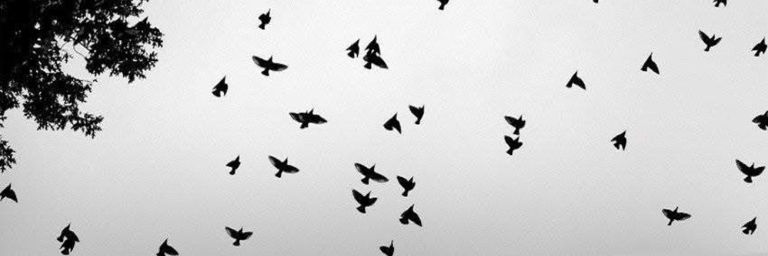 TurkMelike20's profile banner image