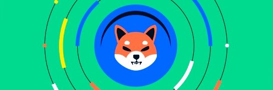 ShibPoll's profile banner image