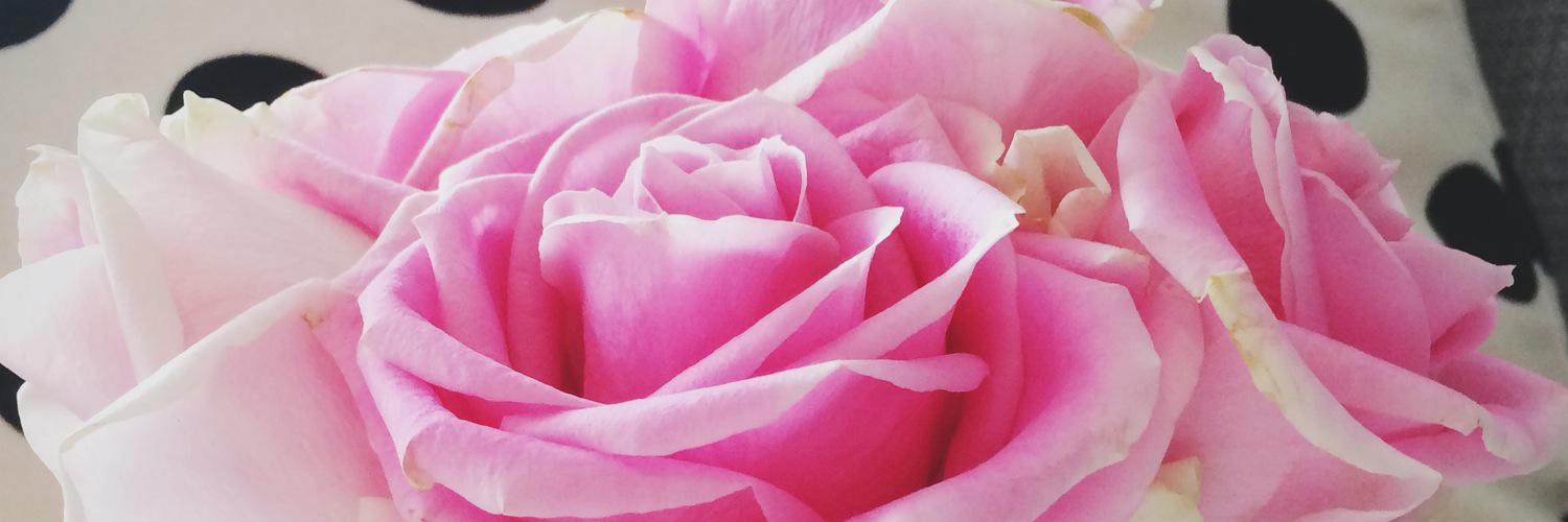 helenevans's profile banner image