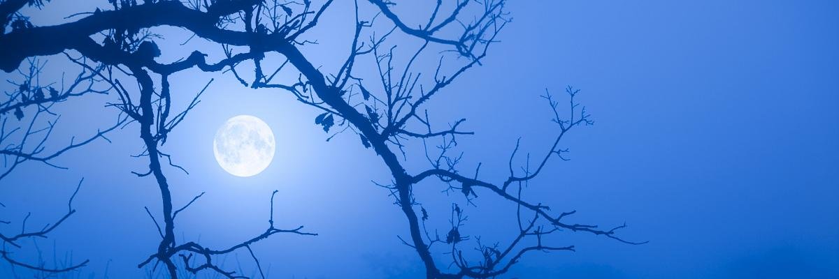 St4ke_'s profile banner image
