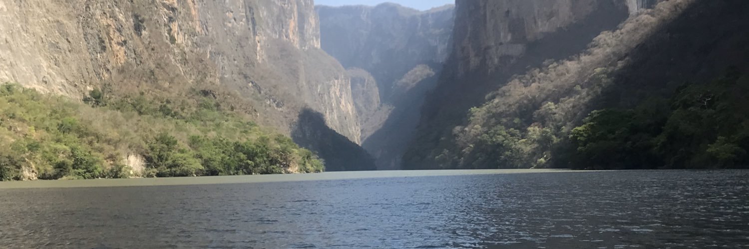 ursucarreno's profile banner image