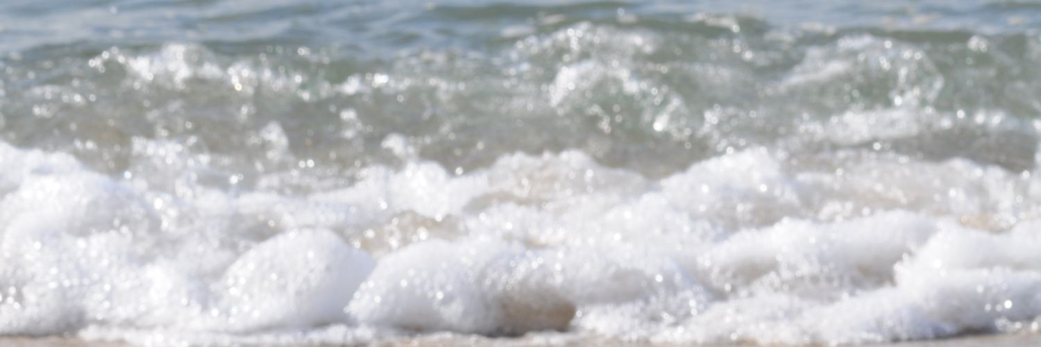 ミル 🦈 ☄️ ✿.* banner