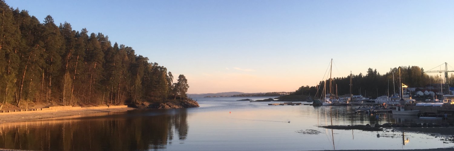 Lars Bjørnstad banner