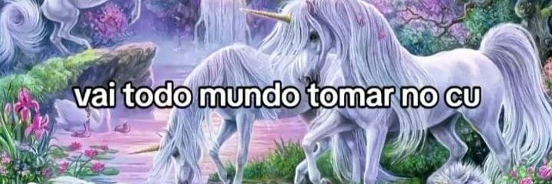 Maria Baixinha 🧙🏻‍♀️🏳️‍🌈 banner