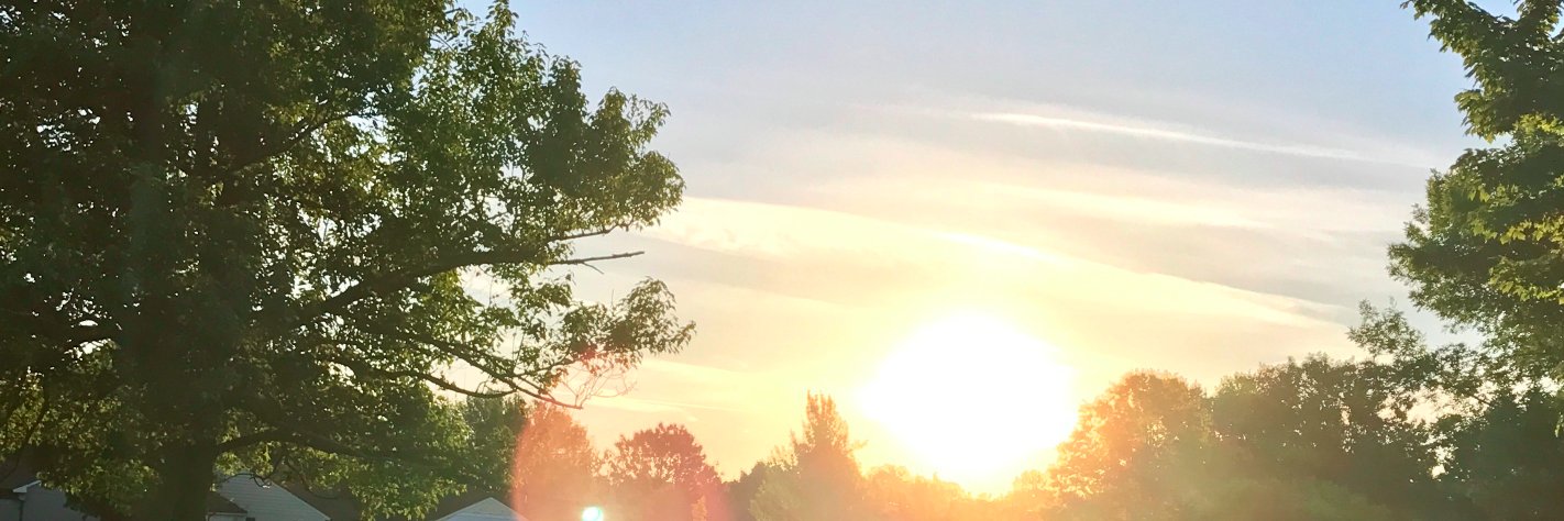 therealmimi's profile banner image