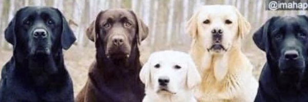 janepcren Profile Banner