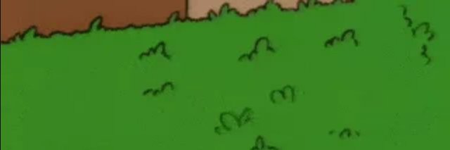 moved to jaredhirsch@mastodon.social banner