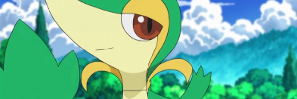 fenixwryght Profile Banner