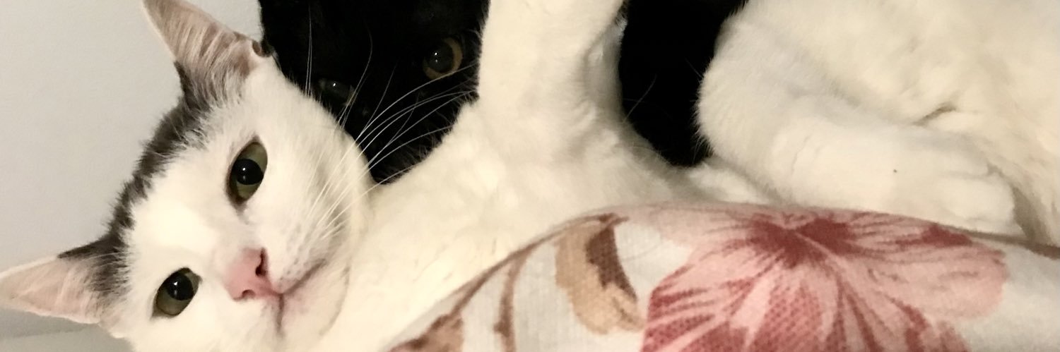 mamanshdi's profile banner image