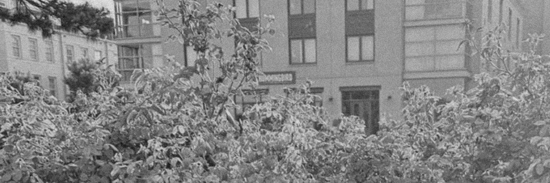 ofSounder's profile banner image