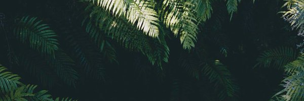 Daram_aa Profile Banner