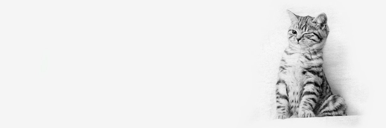 joanahaas's profile banner image