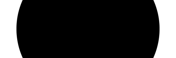 whitewings Profile Banner