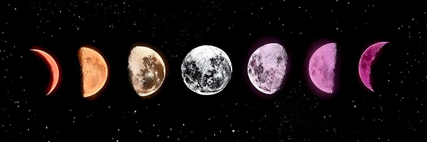 maygiboswky's profile banner image