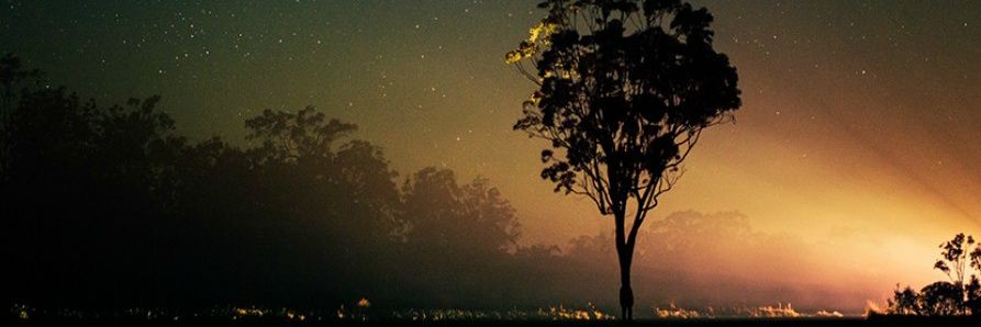 instantdelusion's profile banner image