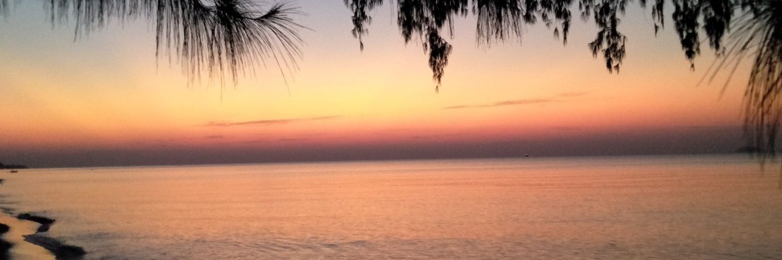 ZfcFd's profile banner image