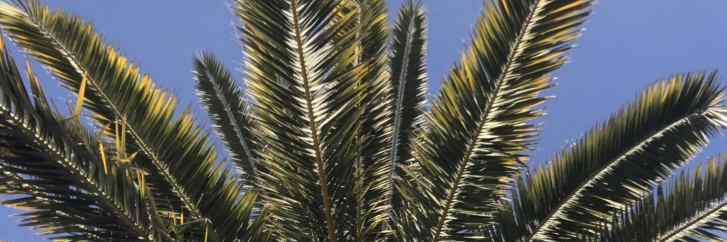 unsocialbcbands's profile banner image