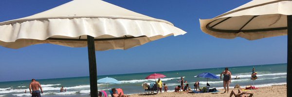 JaneFriswell Profile Banner