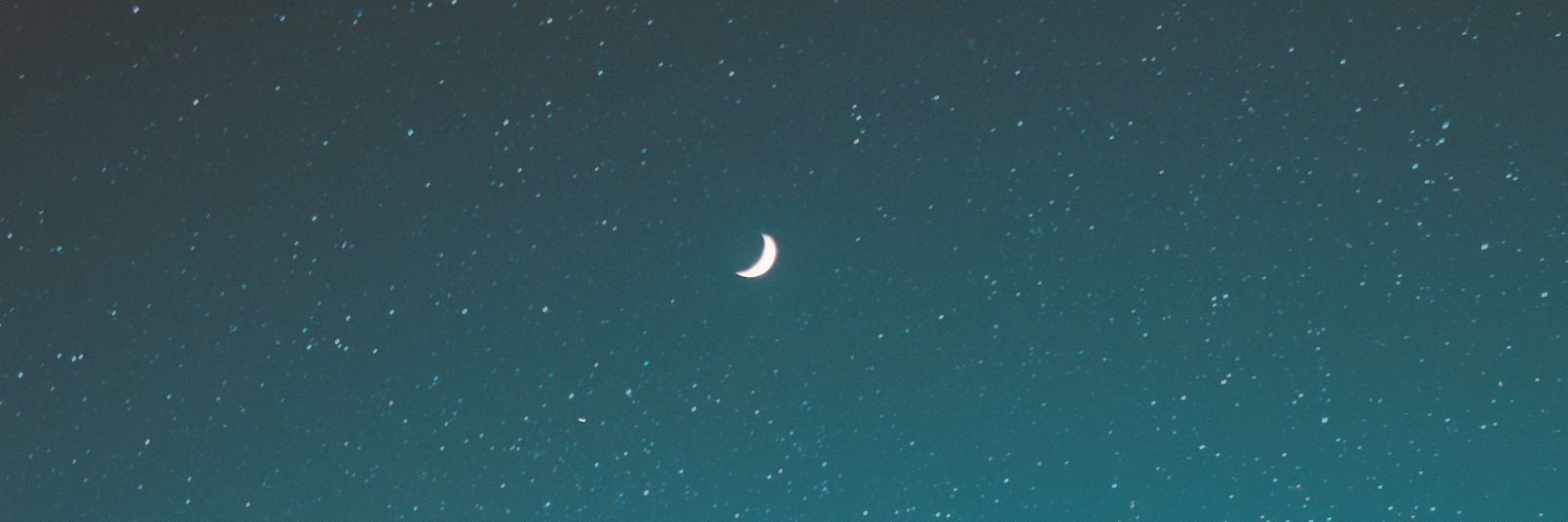 manusia mars banner