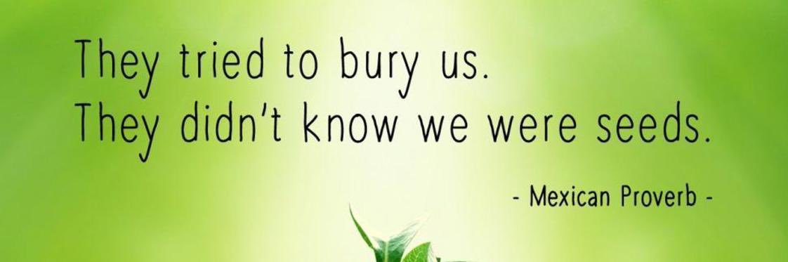 Bhavna of SIFF banner