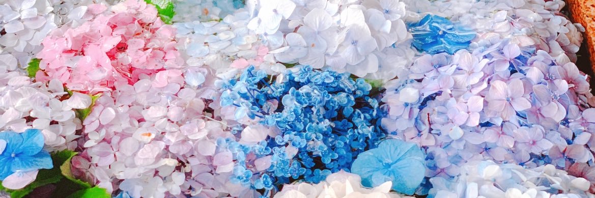 Rie_poon's profile banner image