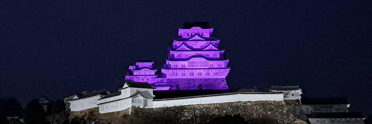 日本てんかん協会　兵庫県支部's banner