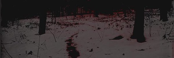 0FHOLIDAYS Profile Banner