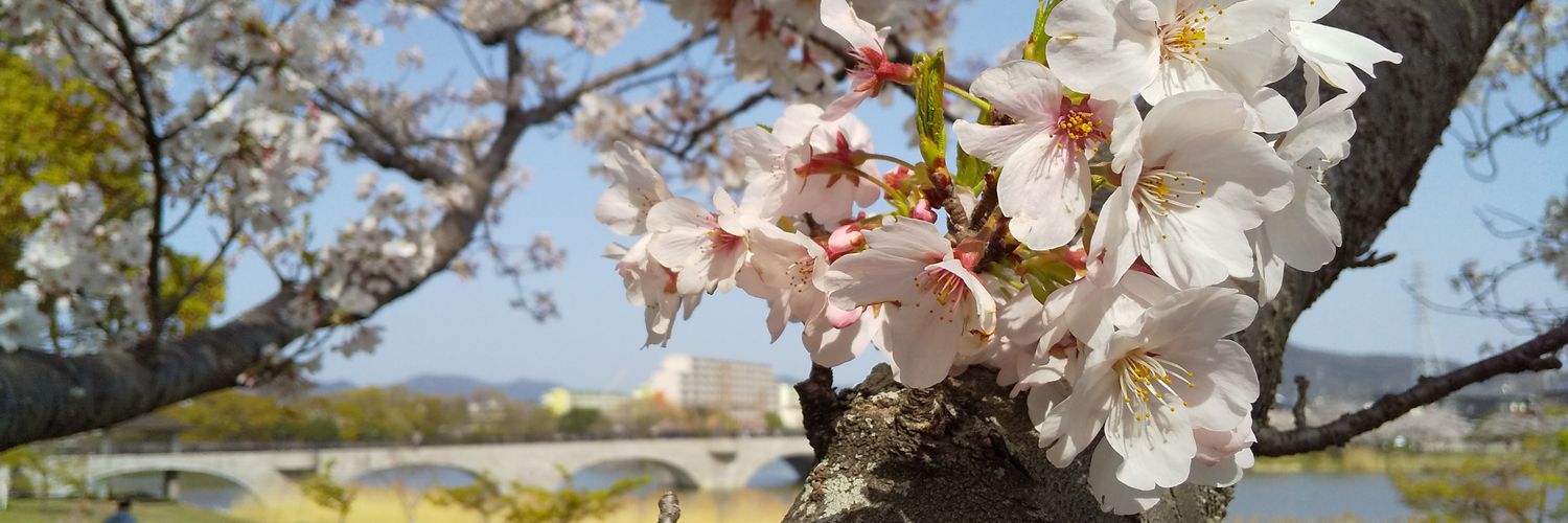 hata4567's profile banner image