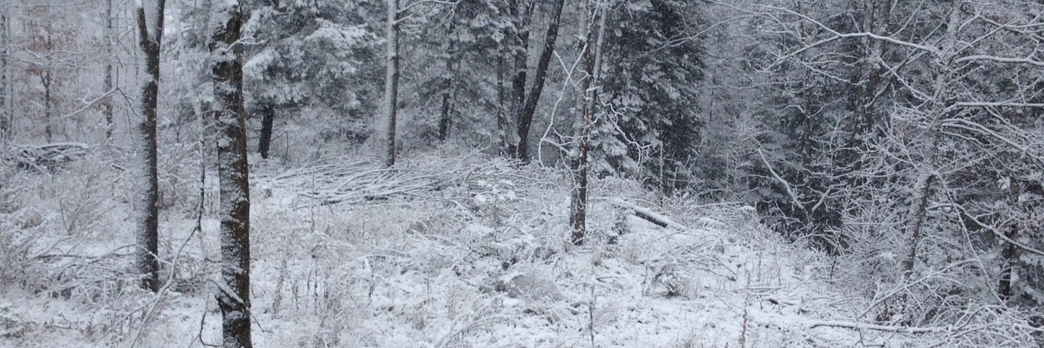 shawnck7's profile banner image