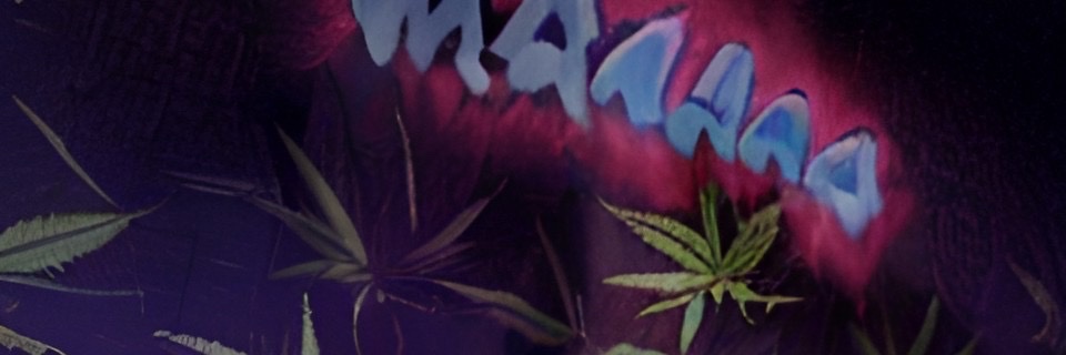 CannaBeeTree's profile banner image