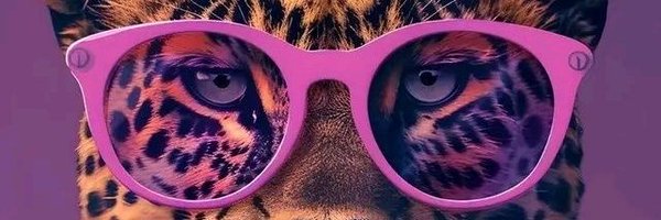 oncinhaslovemil Profile Banner