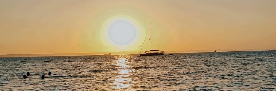 Maori 🏌️‍♀️💪🏻🔨 banner