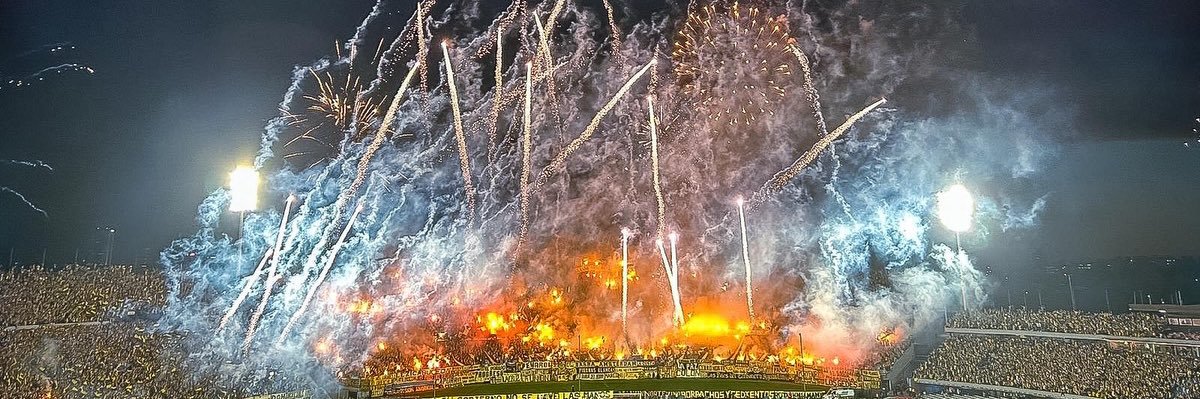 leoporcelli's profile banner image