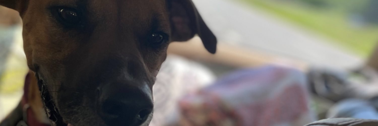 mattsilliman's profile banner image