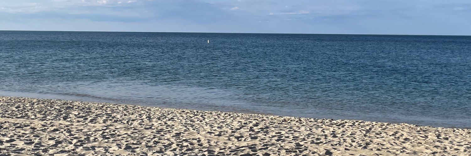 Christina Pedersen banner