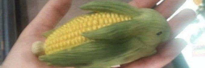 spoopu123's profile banner image