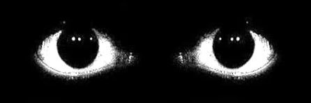 ceren banner