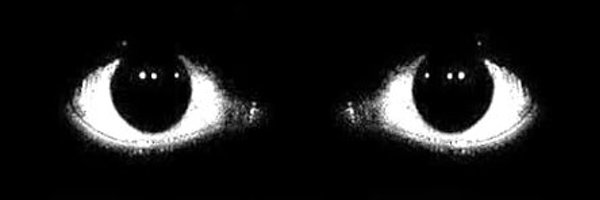 barkdontsleep Profile Banner