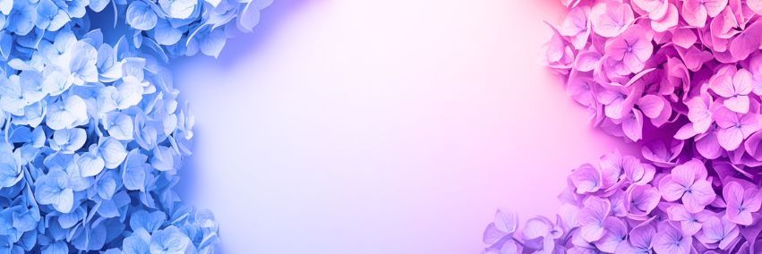 0126_yaeber's profile banner image