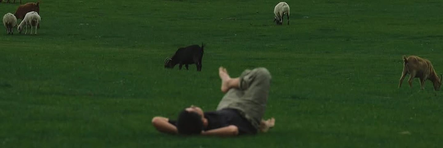 Gray💭⚔️ banner