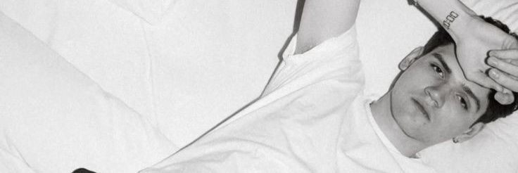 pami's banner