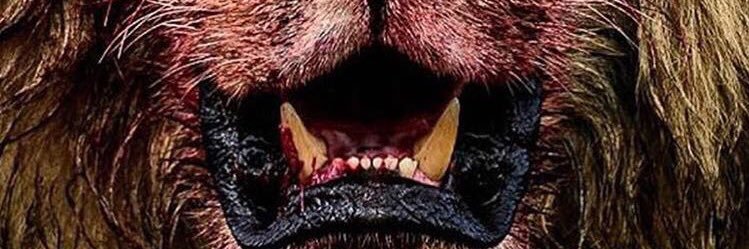 JayB_06's profile banner image