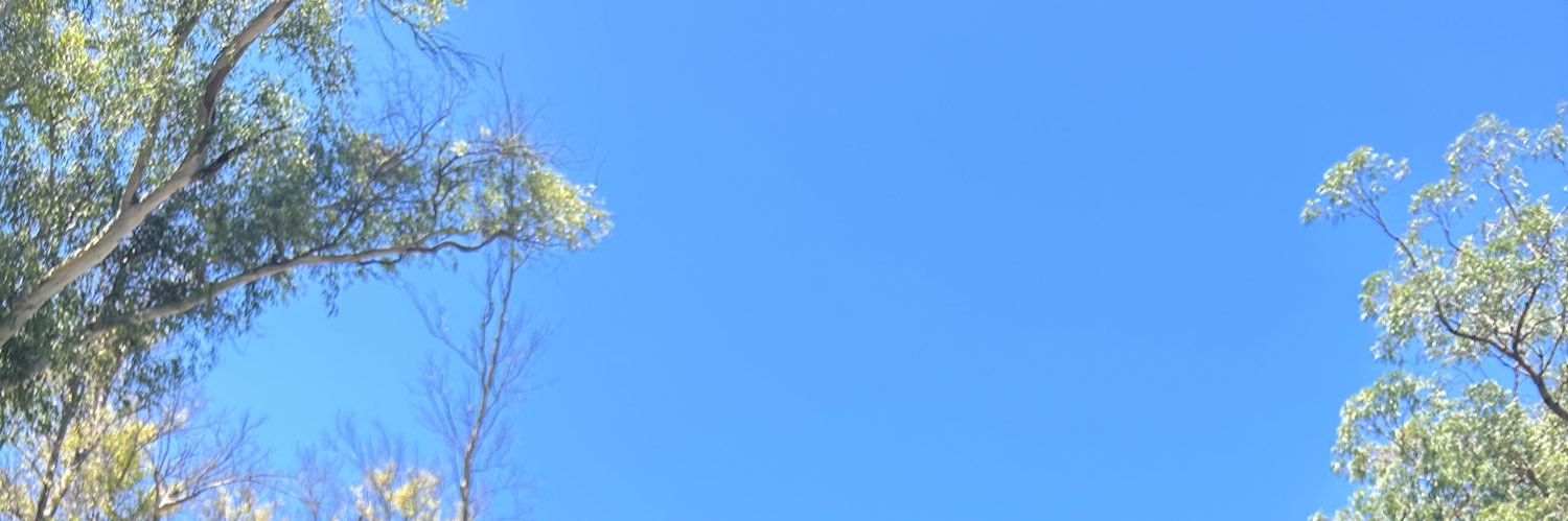 MerrelyCárdenas banner